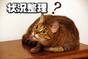 状況整理をして復縁活動