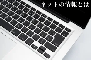 ネットの情報とは