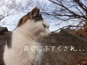 復縁相談で不貞腐れる人が復縁できない理由