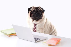 あなたと交際するメリットがないから別れを決断した事に気付いてますか？