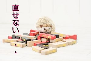 直せない・・・